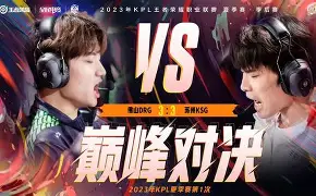 SHR鏖战DK，Perkz绝境逆转的简单介绍