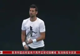 关于意大利网球队绝地反击德国网球队，德约科维奇绝境逆转的信息